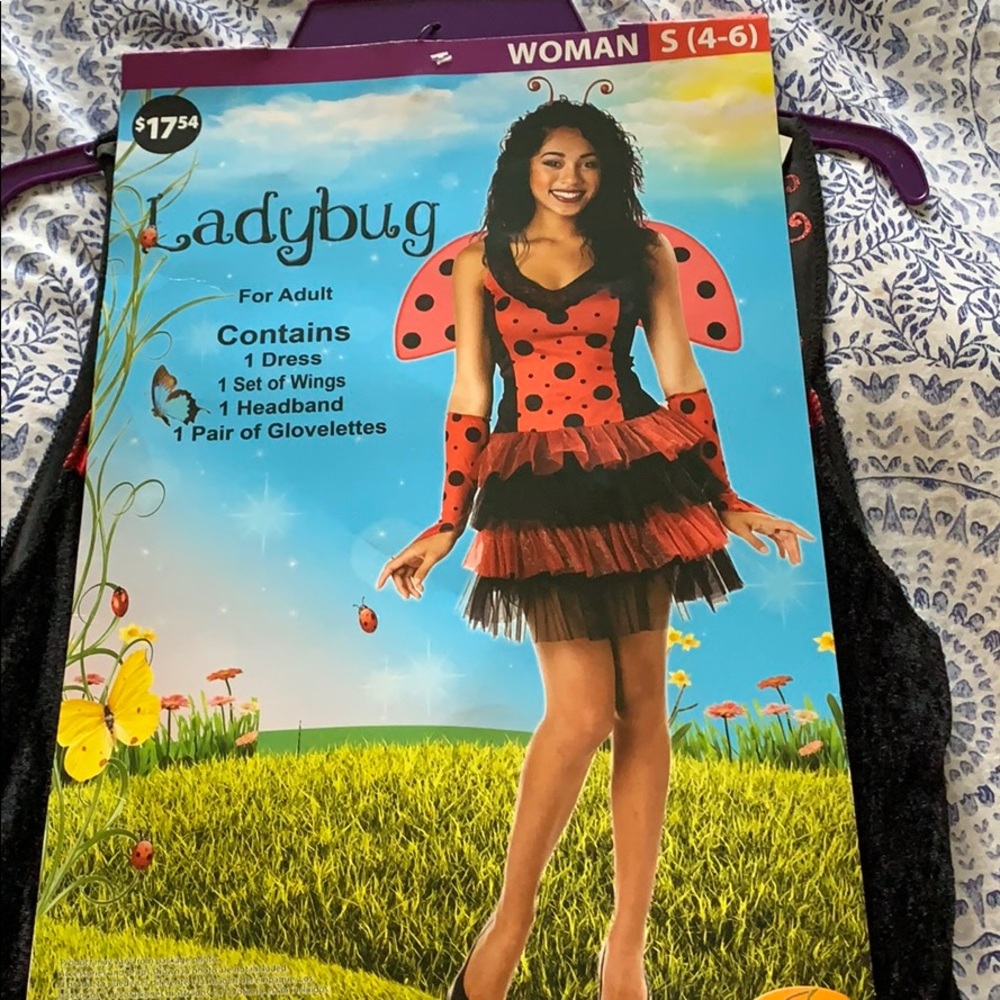 Ladybug Halloween Costume